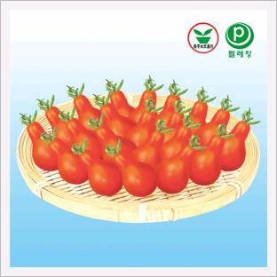 Tomato, Red Jorong
